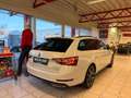 Skoda Superb Sportline 4x4 Weiß - thumbnail 7
