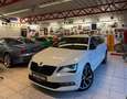 Skoda Superb Sportline 4x4 Weiß - thumbnail 16