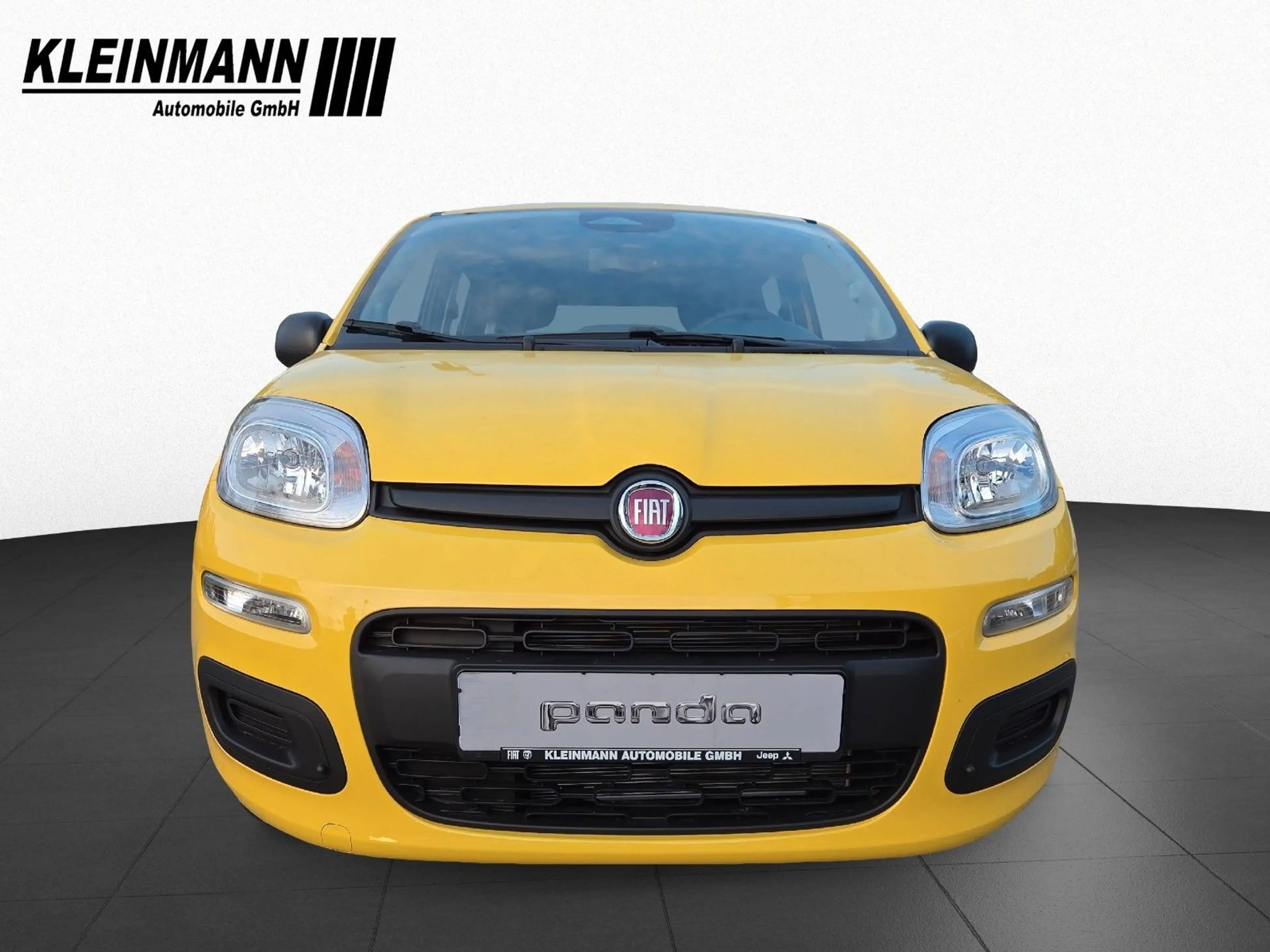 Fiat Panda "Pandina Icon" 1.0 GSE Hybrid — photo 3