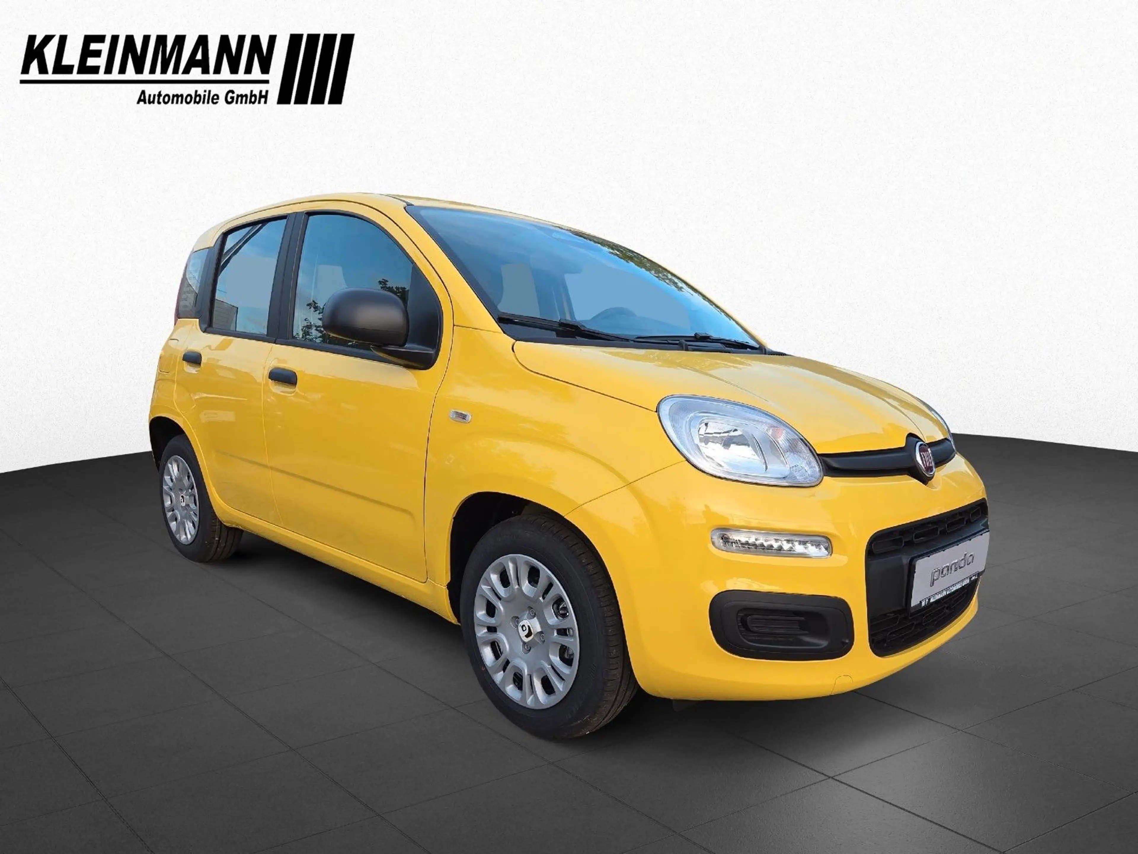 Fiat Panda "Pandina Icon" 1.0 GSE Hybrid — photo 2