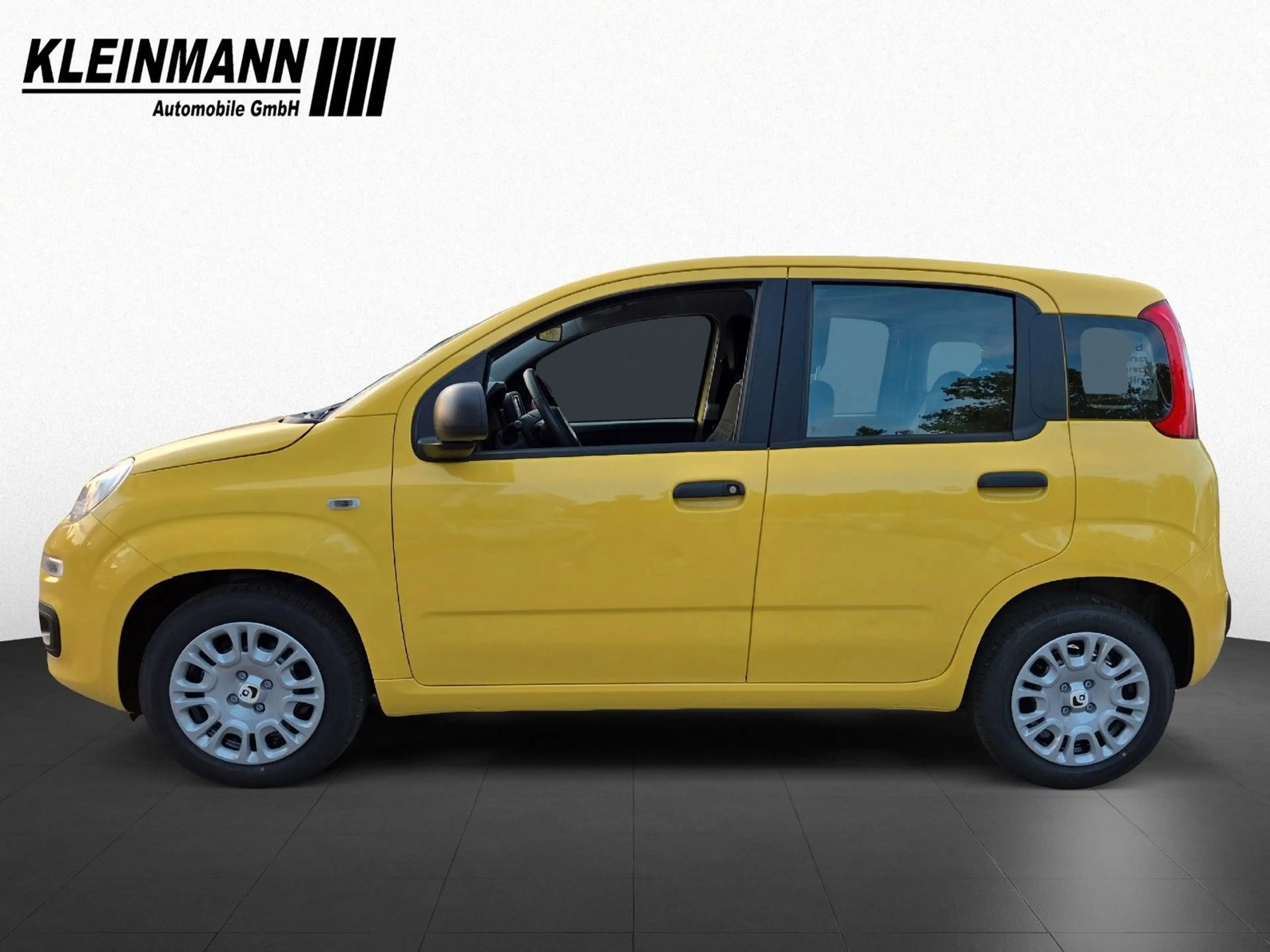 Fiat Panda "Pandina Icon" 1.0 GSE Hybrid — photo 4
