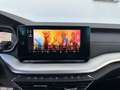 Skoda Octavia 2.0 TDI DPF Style (EURO 6d) * VERKAUFT * Grau - thumbnail 32