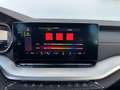 Skoda Octavia 2.0 TDI DPF Style (EURO 6d) * VERKAUFT * Grau - thumbnail 30