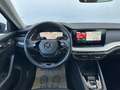 Skoda Octavia 2.0 TDI DPF Style (EURO 6d) * VERKAUFT * Grau - thumbnail 15