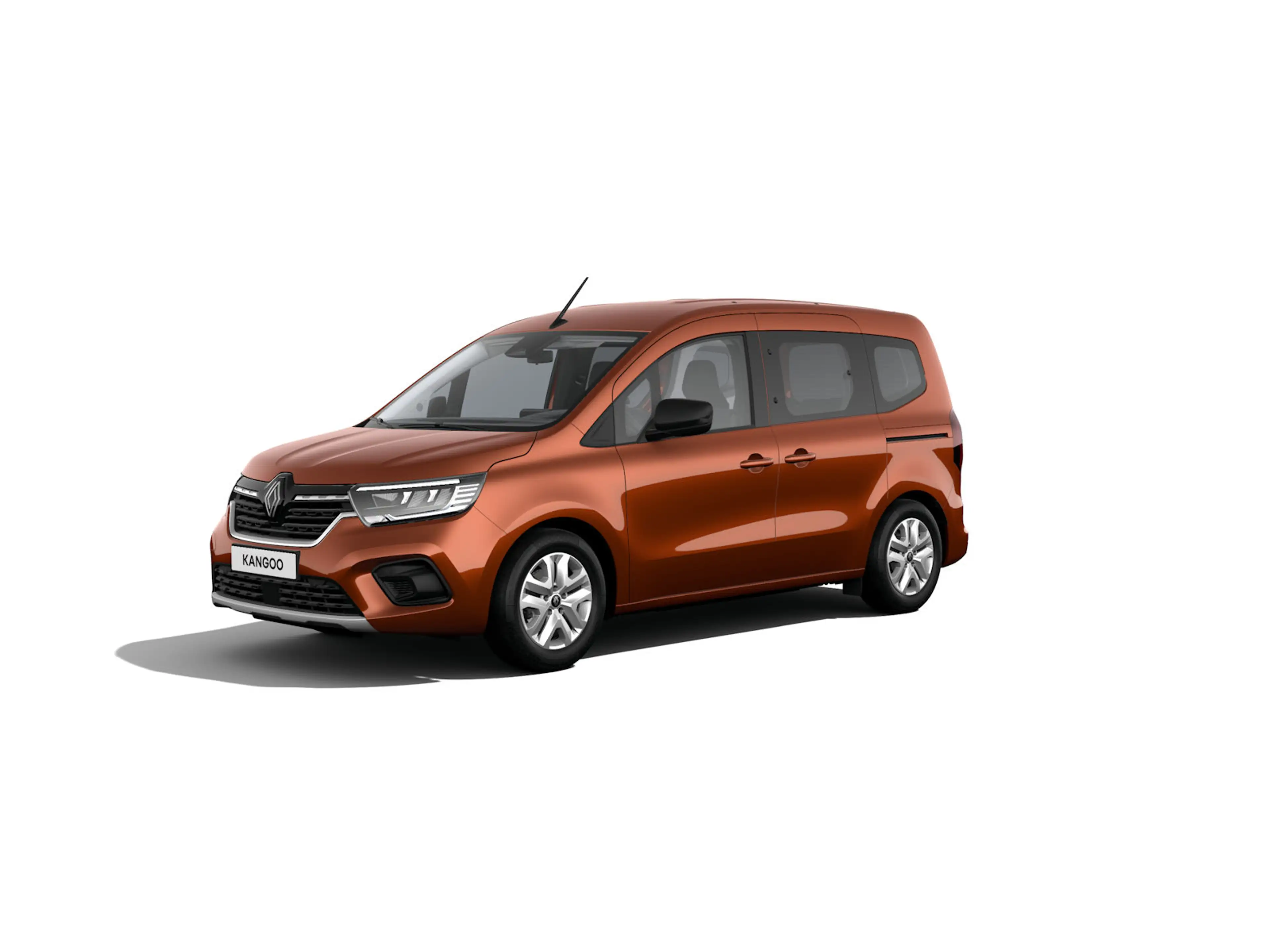 Renault Kangoo Equilibre | Snelheidsregelaar en -begrenzer — photo 5