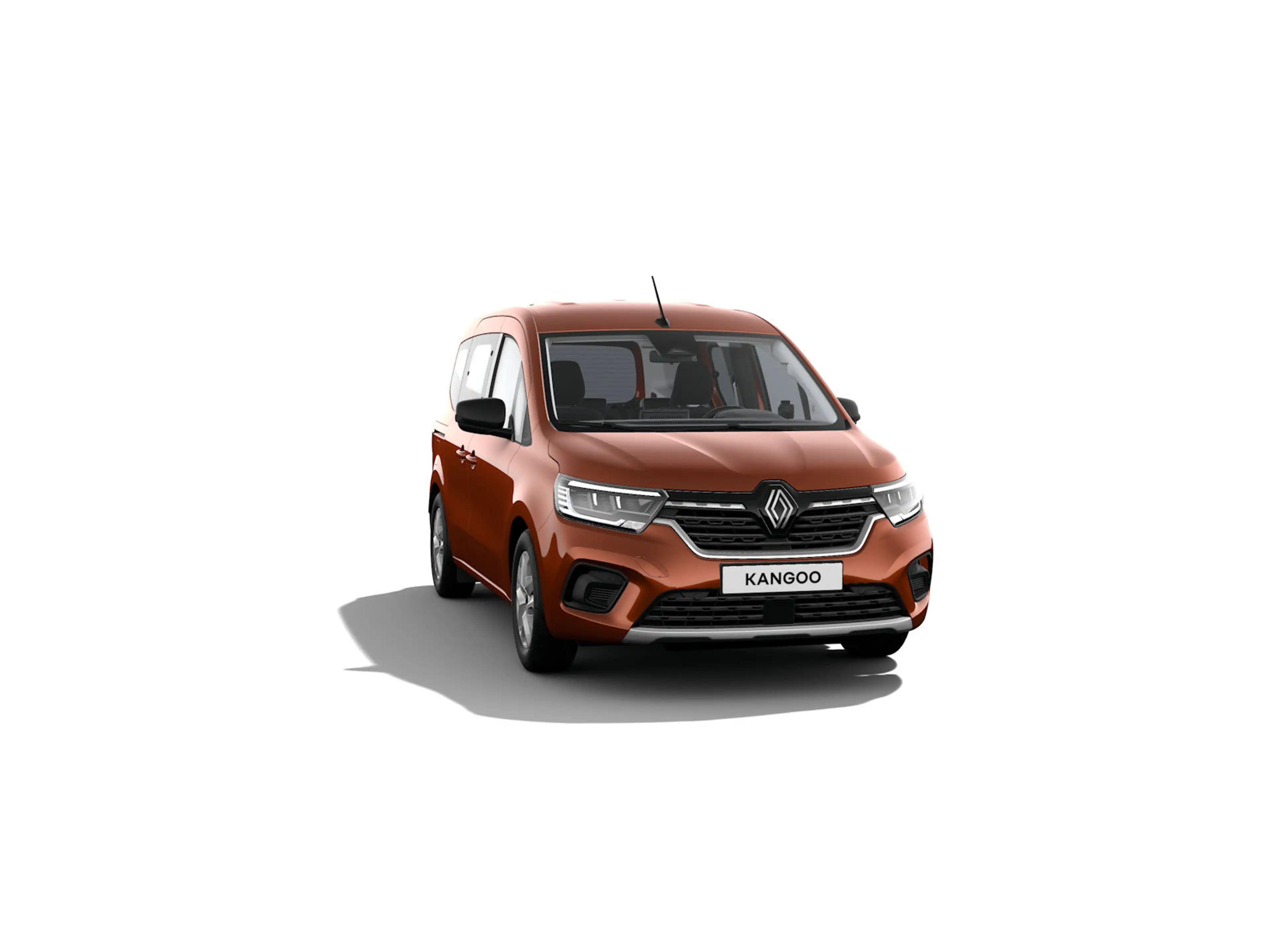 Renault Kangoo Equilibre | Snelheidsregelaar en -begrenzer — photo 4