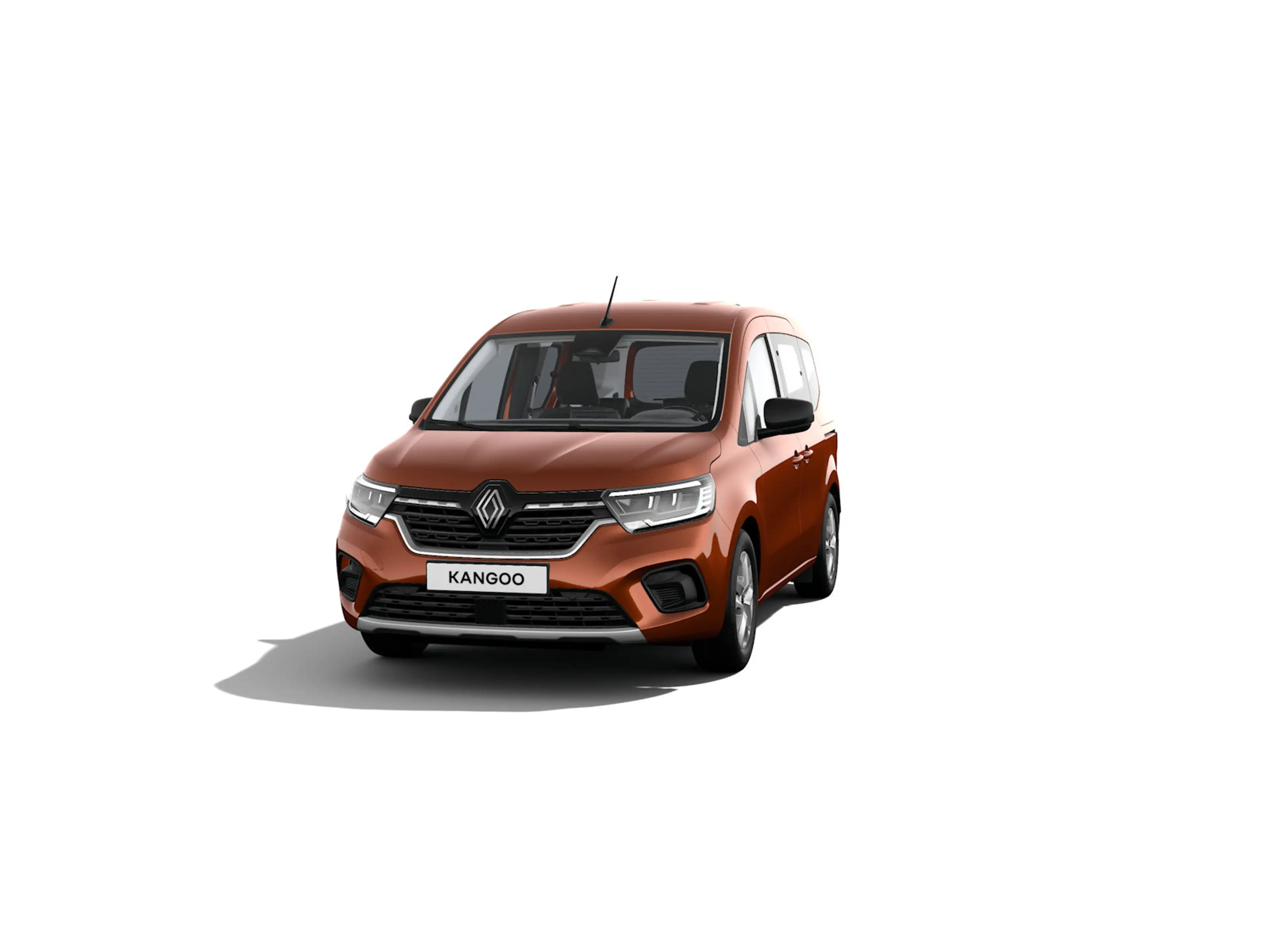 Renault Kangoo Equilibre | Snelheidsregelaar en -begrenzer — photo 8
