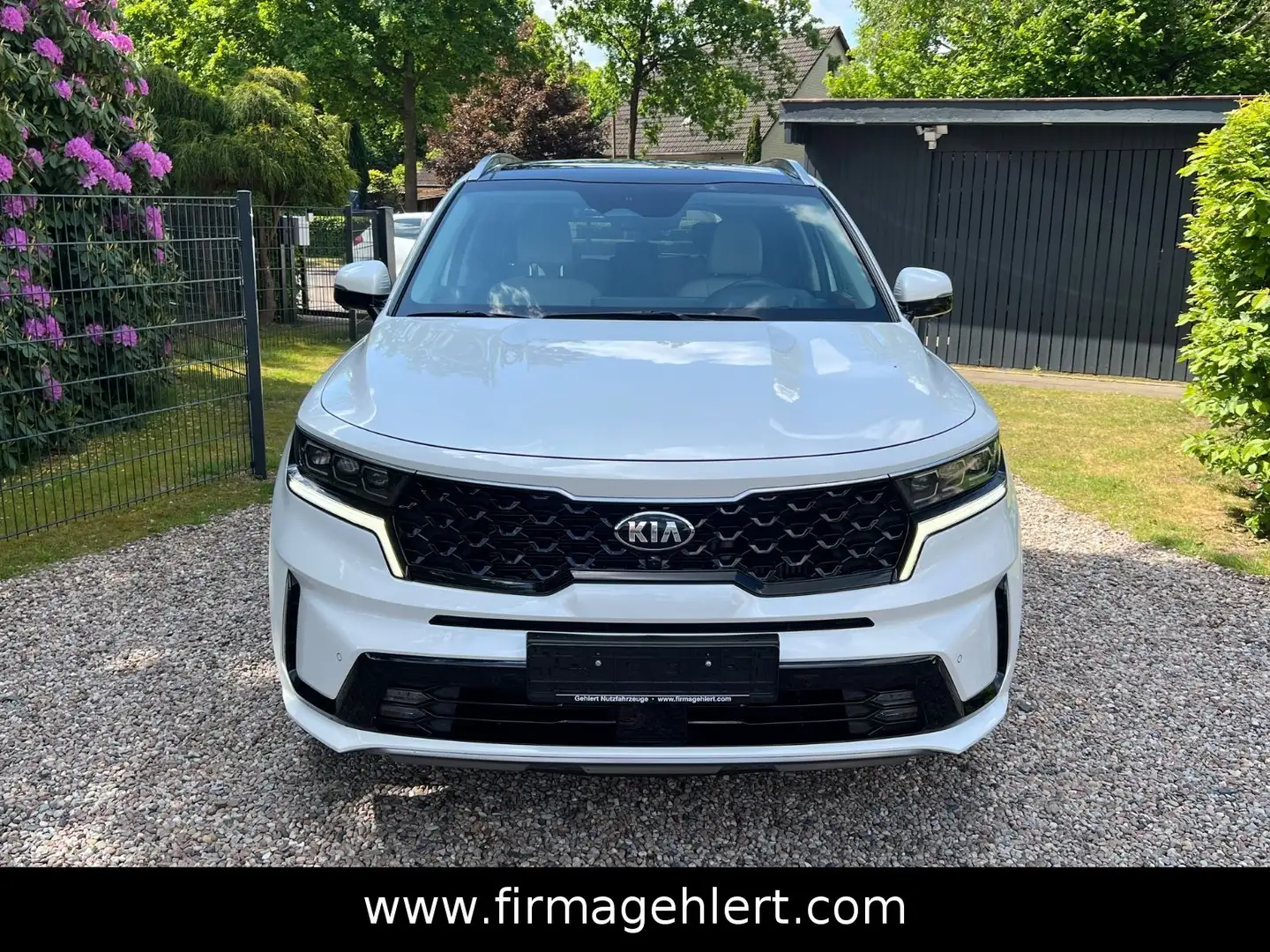 Kia Sorento Platinum 4WD PANO+AHK+360°+HuD Weiß - 2