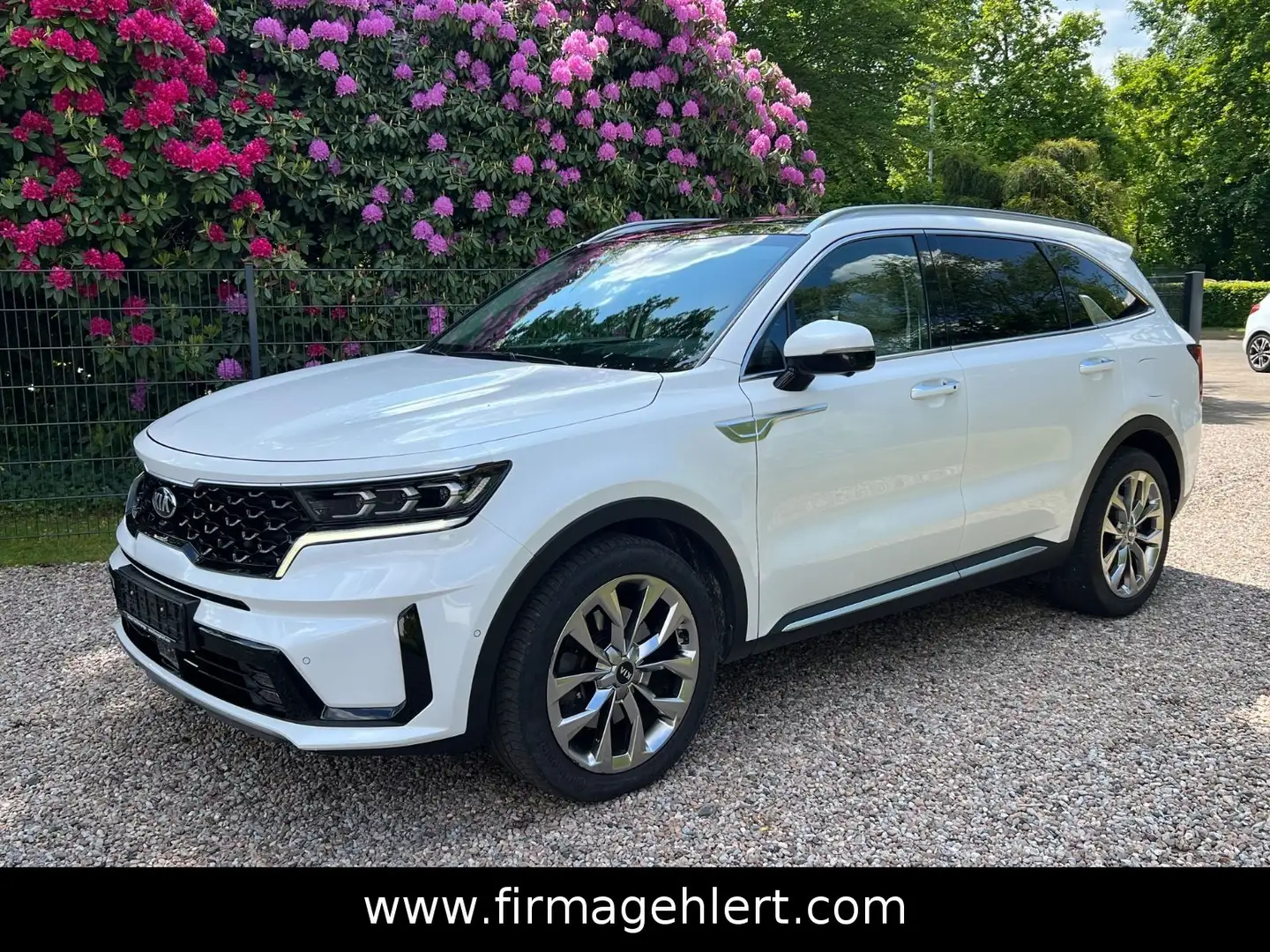 Kia Sorento Platinum 4WD PANO+AHK+360°+HuD Weiß - 1