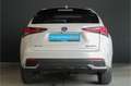 Lexus NX 300h AWD Luxury Line |dealer onderhouden|schuifdak|lede Blanc - thumbnail 12