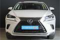 Lexus NX 300h AWD Luxury Line |dealer onderhouden|schuifdak|lede Blanc - thumbnail 8