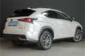 Lexus NX 300h AWD Luxury Line |dealer onderhouden|schuifdak|lede Blanc - thumbnail 3