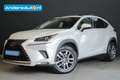 Lexus NX 300h AWD Luxury Line |dealer onderhouden|schuifdak|lede Blanc - thumbnail 1