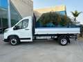 Maxus Deliver 9 2.0D Anticipo €9.900 noleggio no scoring Biały - thumbnail 2