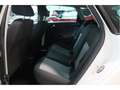 SEAT Ibiza ST Reference 1.2 TDi 55kW Biały - thumbnail 10