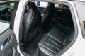 Audi RS3 RS3 Sportback 2.5 TFSI 367 Quattro S tronic 7 Blanc - thumbnail 10