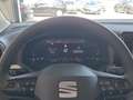 SEAT Ibiza Reference Edition 1.0 Rot - thumbnail 9