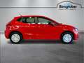 SEAT Ibiza Reference Edition 1.0 Rot - thumbnail 3