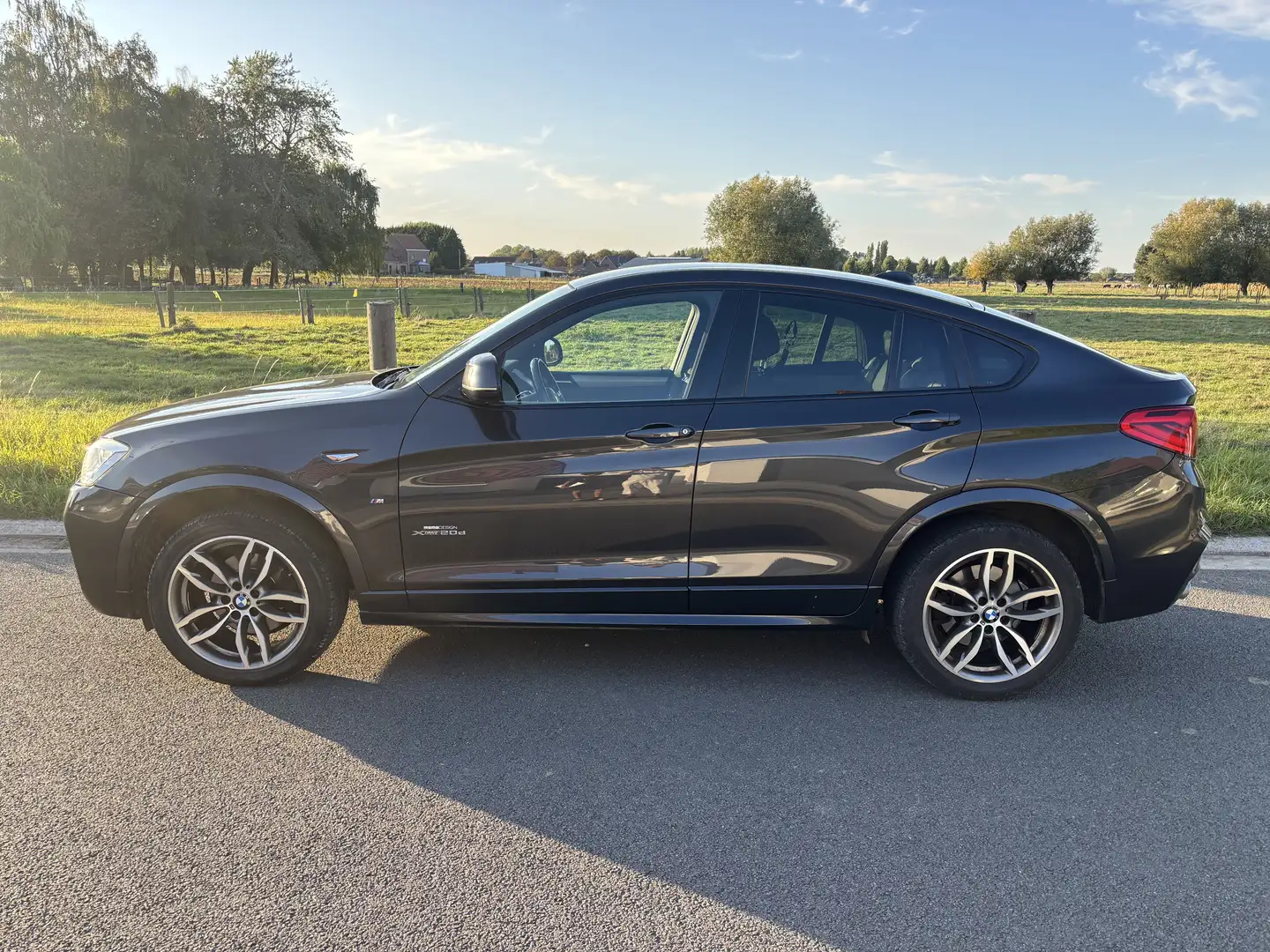 BMW X4 2.0 dA xDrive20 Pac M - 1