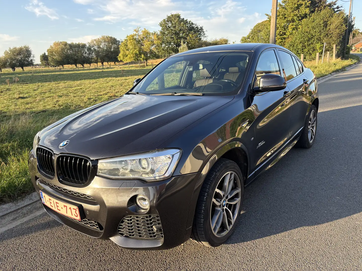 BMW X4 2.0 dA xDrive20 Pac M - 2