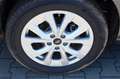 Ford Tourneo Connect Titanium L1 5-Sitz 4,99%* Autom. Grau - thumbnail 3