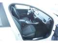 BMW 116 116d-Auto-Navi-PDCCam-Sihz-Tempo-LED-DAB-Klimaauto Weiß - thumbnail 22
