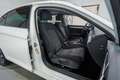 Volkswagen Passat 1.6TDI Executive DSG7 Blanco - thumbnail 15