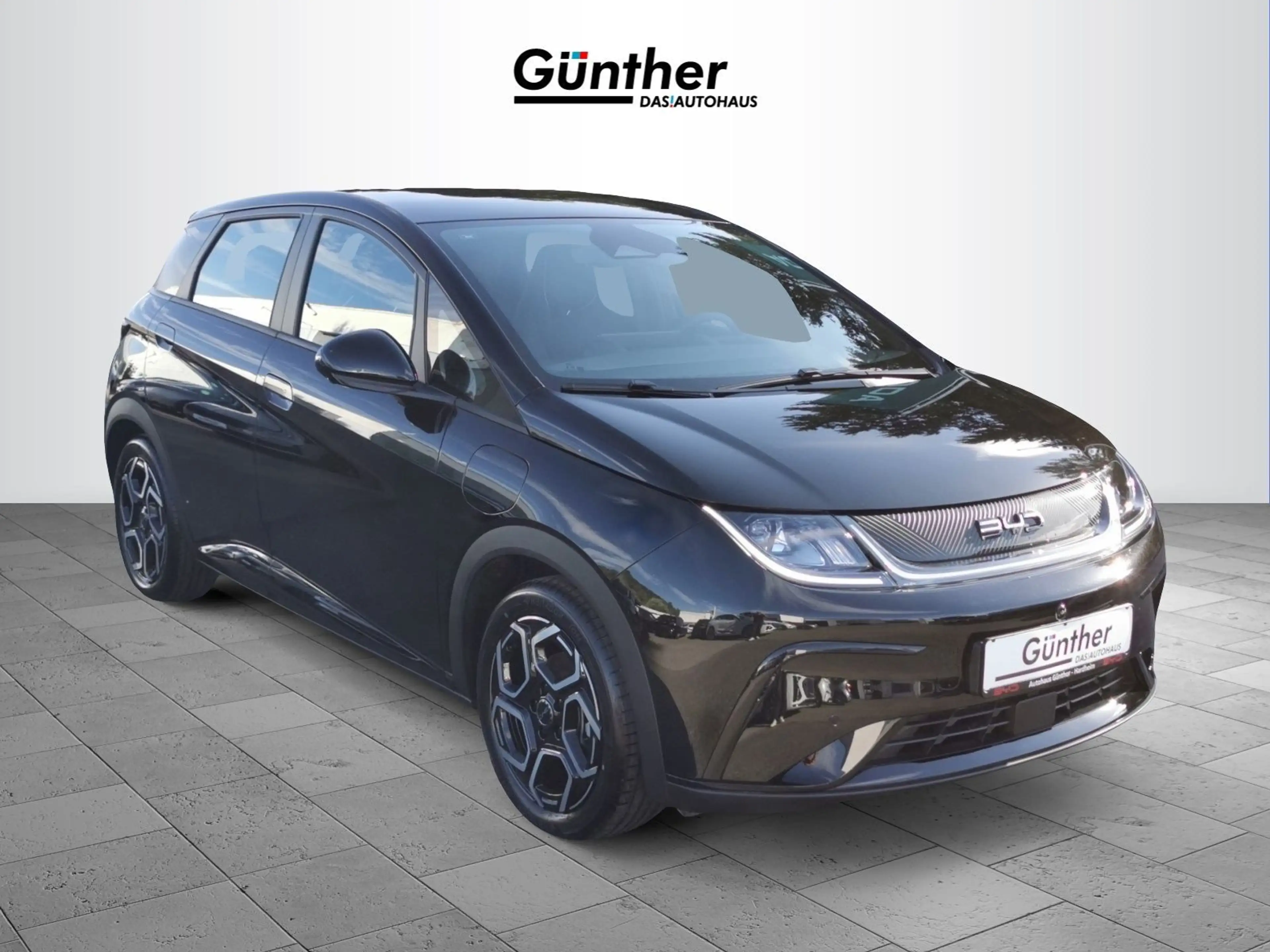 BYD Dolphin Dolphin Comfort 150 kW +360°+LED+NAVI **LAGER** — photo 6