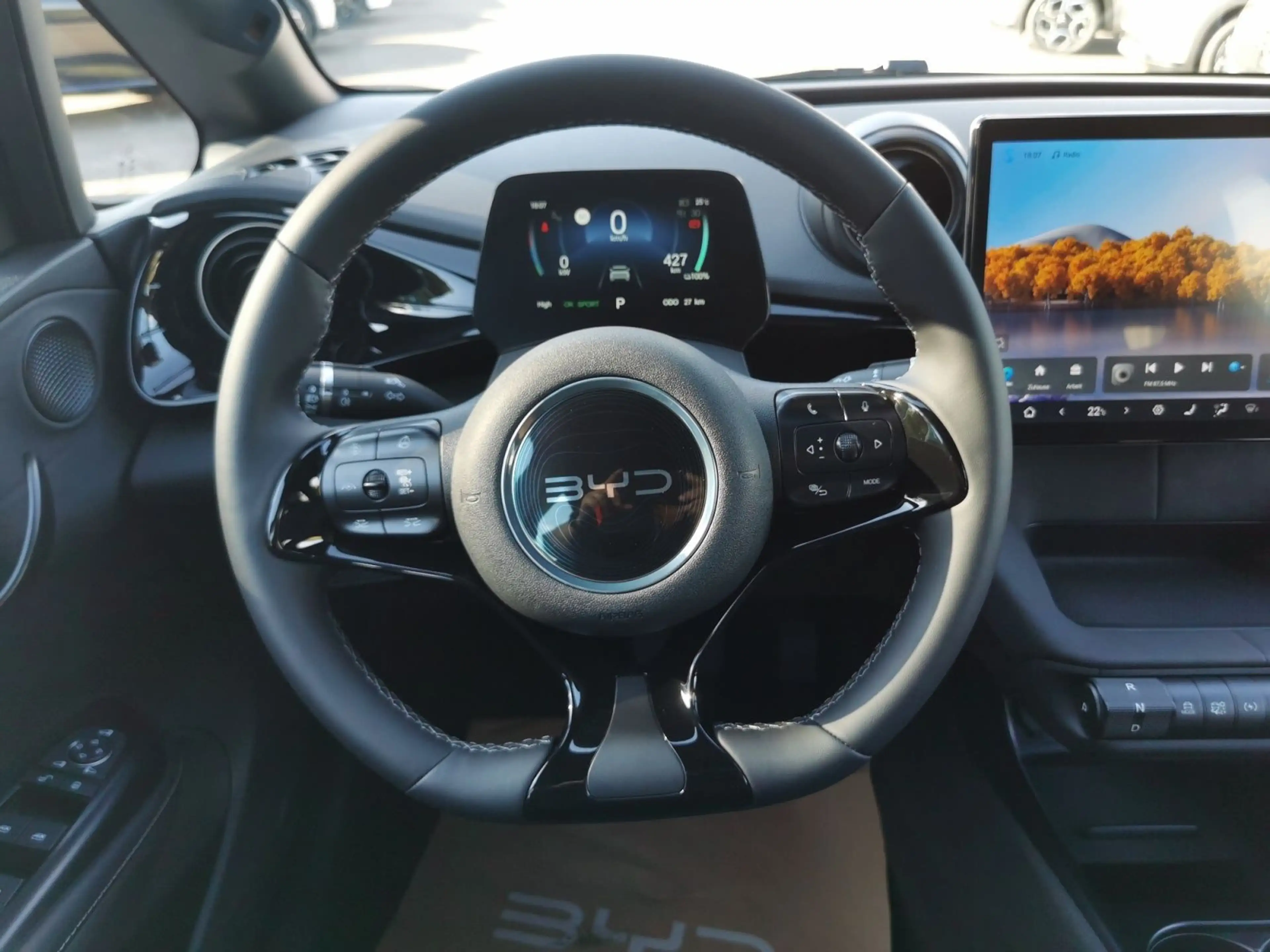 BYD Dolphin Dolphin Comfort 150 kW +360°+LED+NAVI **LAGER** — photo 12