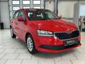 Skoda Fabia Cool Plus 1.0 TSI Klima BC Radio Swing Rot - thumbnail 8