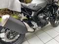 Honda CB 1000 Hornet 2025 SOFORT VERFÜGBAR Argento - thumbnail 3