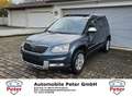 Skoda Yeti 2.0 TDI DSG 4x4 Pano Keyl Standhz Adventure Gris - thumbnail 1