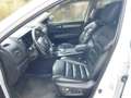 Renault Koleos dCi 185 4WD Initiale X-Tronic Aut. Weiß - thumbnail 5
