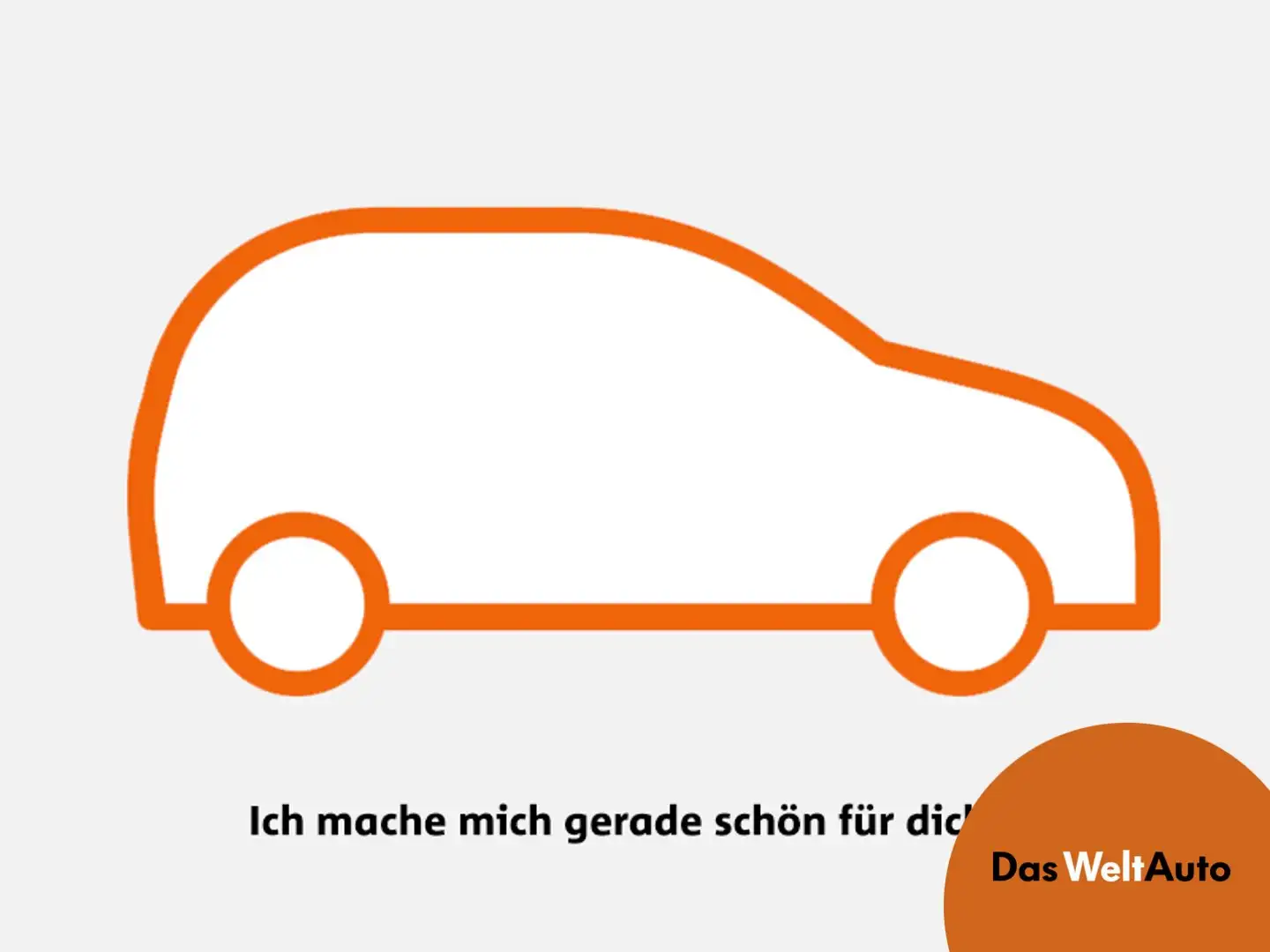Volkswagen T6 Transporter VW Doka-T6 Kastenwagen TDI 4MOTION Silber - 1