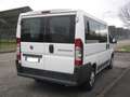 Fiat Ducato 2.3 Mjt 130Cv Euro5 Panorama 9 Posti Weiß - thumbnail 3