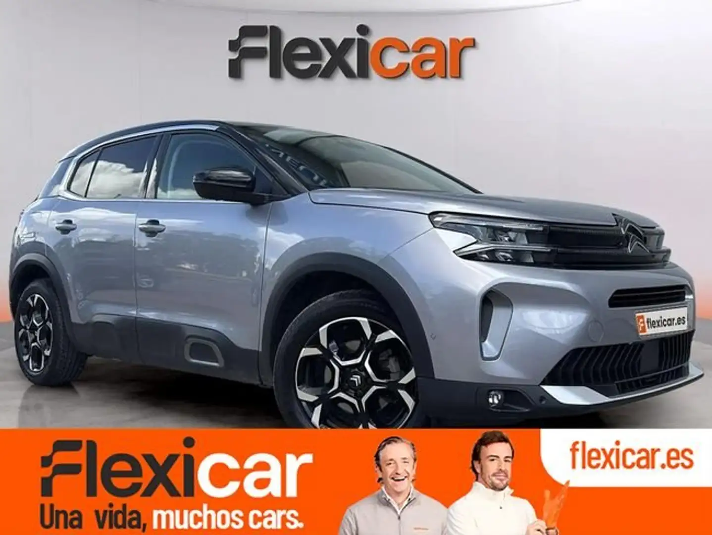 Citroen C5 Aircross BlueHDi S&S Max EAT8 130 Gris - 1