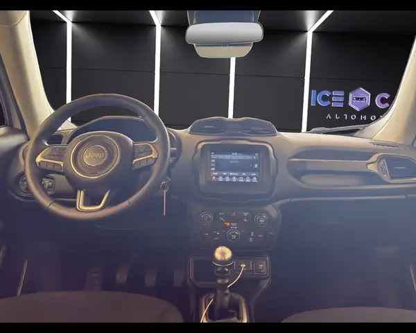 Jeep Renegade view 10