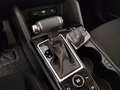 Kia Sportage 1.6 crdi mhev Business dct Verde - thumbnail 13