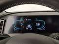 Kia Sportage 1.6 crdi mhev Business dct Verde - thumbnail 10