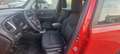 Jeep Renegade M.Y. 2019 1.6 mjt Longitude 2wd 130cv Rouge - thumbnail 13
