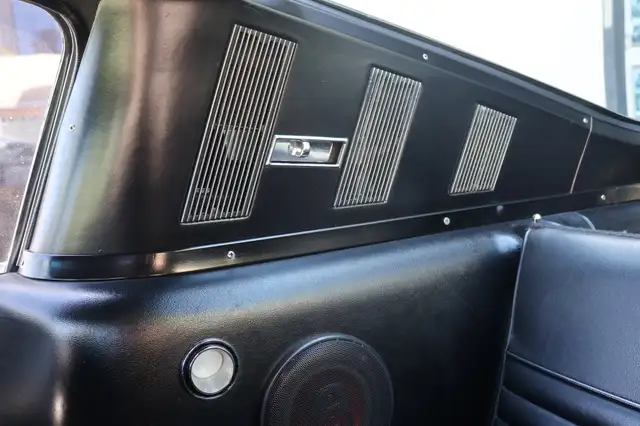 Ford Mustang view 14
