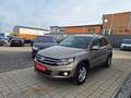 Volkswagen Tiguan 2,0 TDI Sport&Style BMT*ERSTER BESITZ* Gris - thumbnail 3