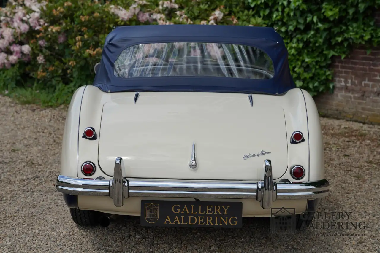 Austin-Healey 100 to 100M Specs "Listed in 100M Le Mans Registry" "1, foto 10