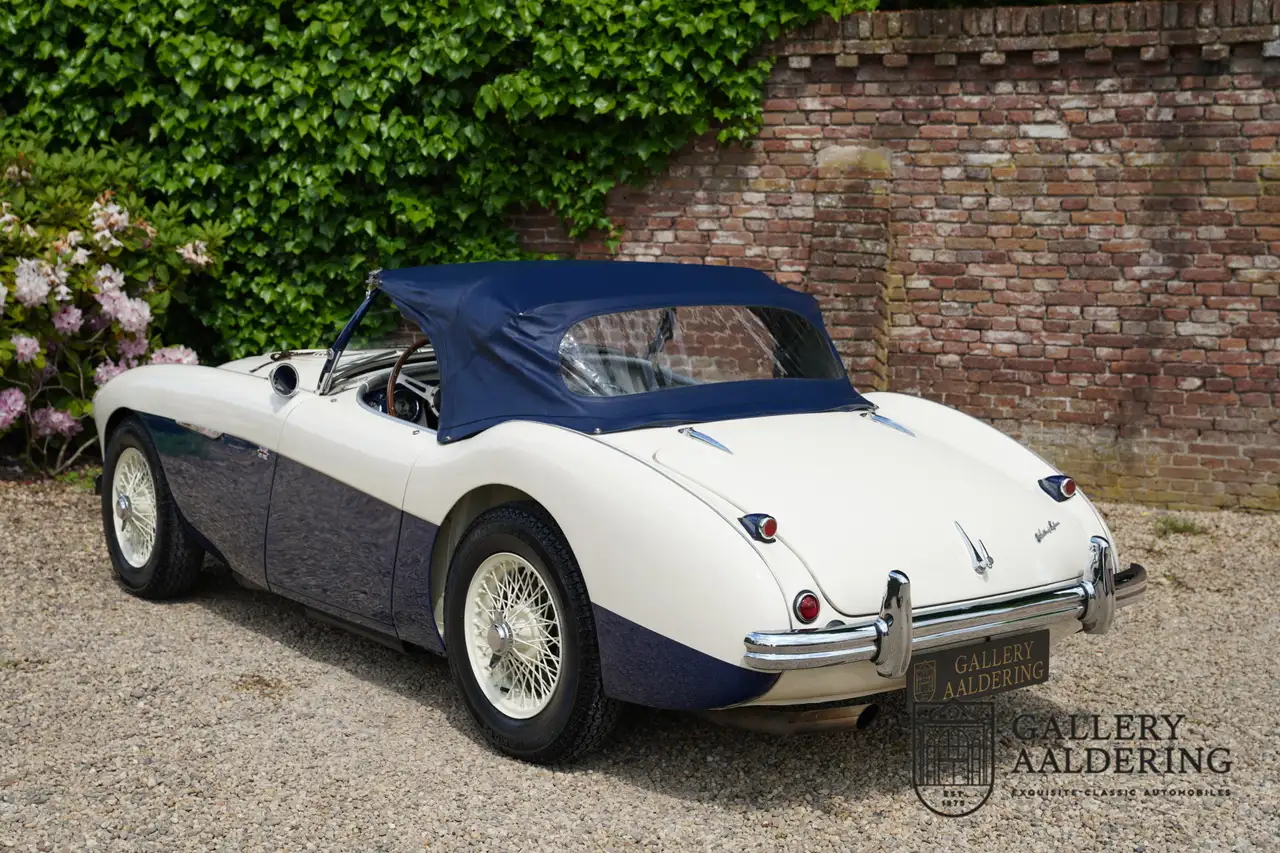Austin-Healey 100 to 100M Specs "Listed in 100M Le Mans Registry" "1, foto 11