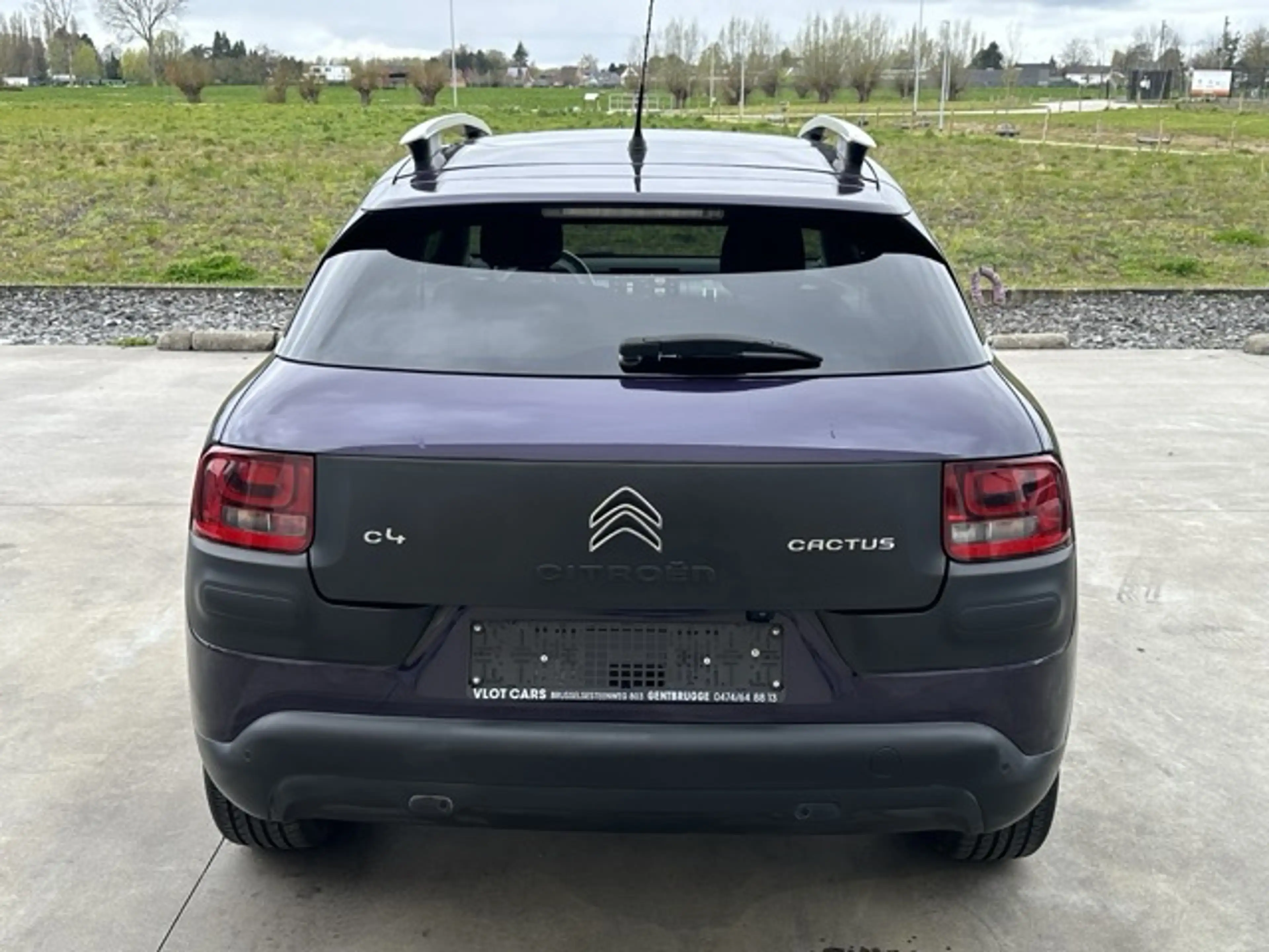 Citroen C4 Cactus C4 Cactus 1.2 PureTech Shine Rip Curl Edition - Airco - Cruise Control - Camera — photo 6
