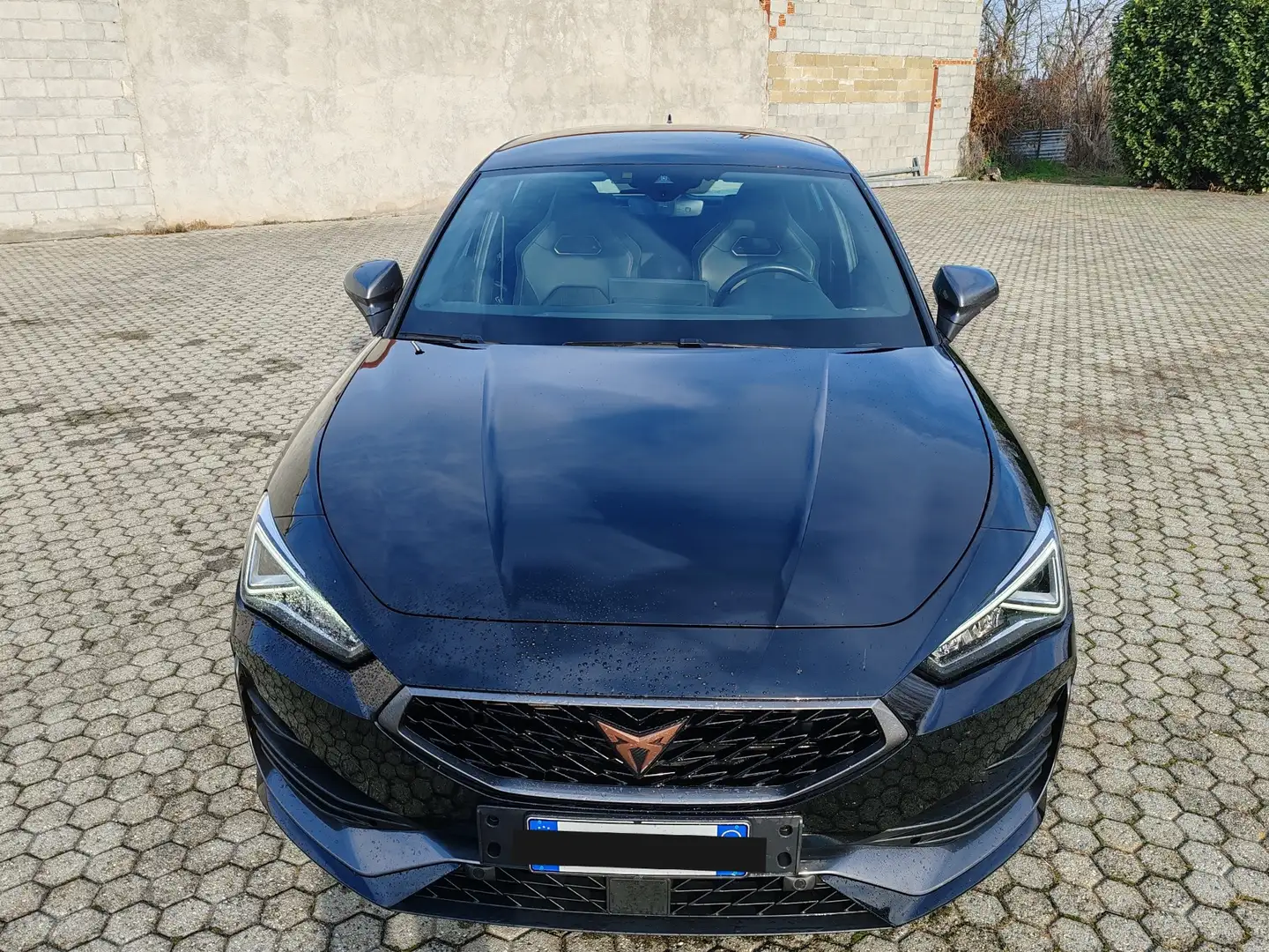 CUPRA Leon 2.0 tdi 150cv dsg - 2