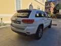Jeep Grand Cherokee 3.0 crd V6 Summit Platinum Panorama 250cv Blanc - thumbnail 5