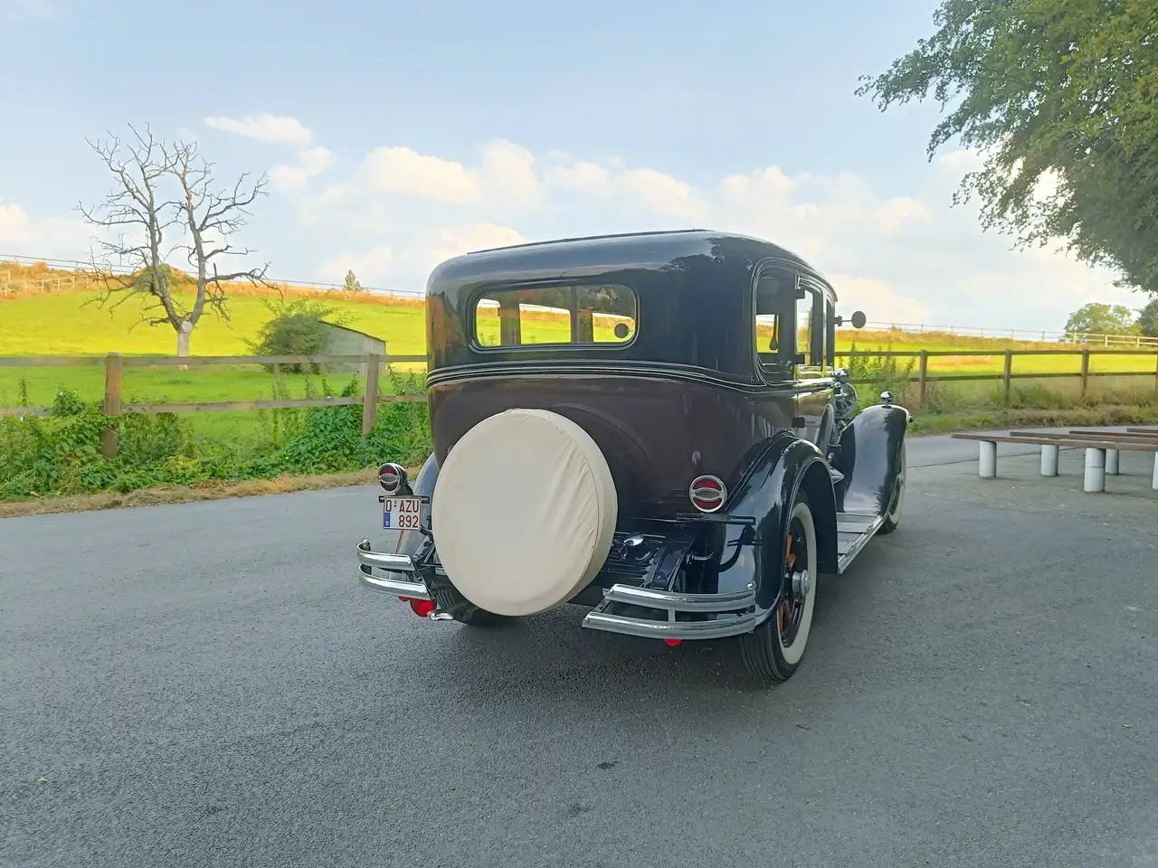 Buick Series 40 Sedan - 1930, foto 6