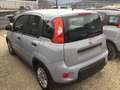 Fiat Panda 1.0 firefly hybrid 70 cv Grau - thumbnail 3
