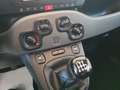 Fiat Panda 1.0 firefly hybrid 70 cv Grau - thumbnail 12
